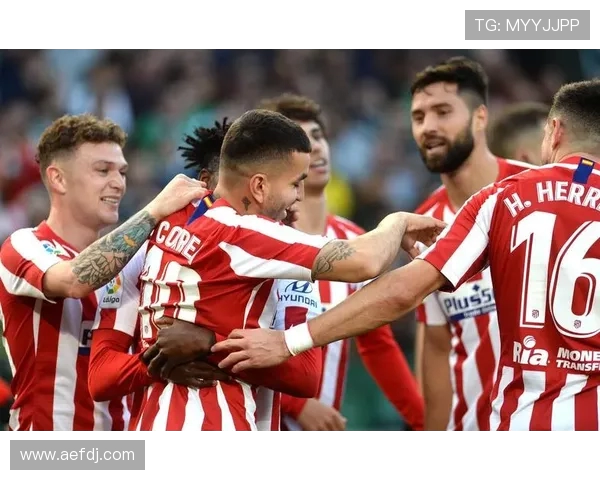 新浪体育西甲联赛专区直播与资讯更新频率