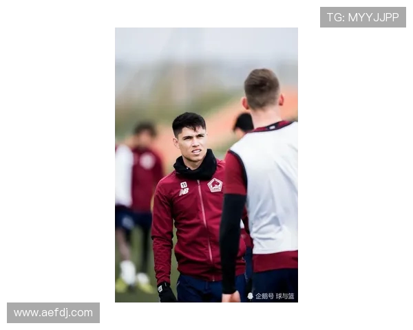 法甲外援适应性变化分析及其对竞技状态的动态影响